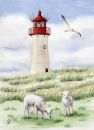 Postkarte DIN-A6 Leuchtturm mit Schafe Sylt2